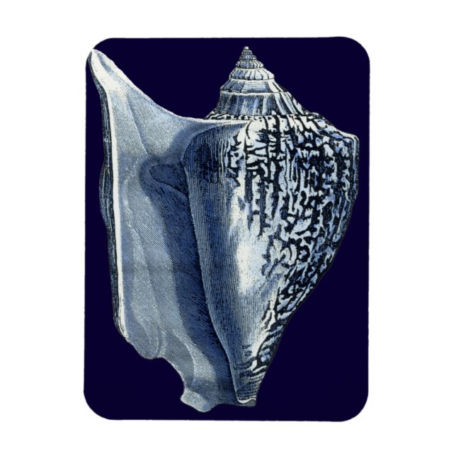 Indigo Shells I Magnet (Vertical)