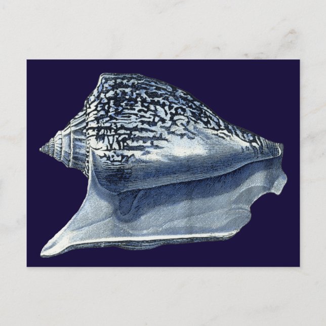 Indigo Shells I Postcard (Front)