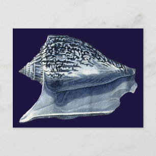 Indigo Shells I Postcard