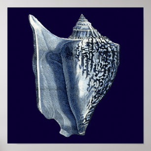 Indigo Shells I Poster