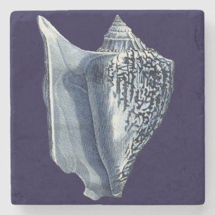 Indigo Shells I Stone Coaster
