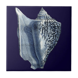Indigo Shells I Tile