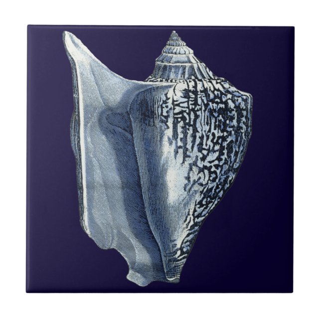 Indigo Shells I Tile (Front)