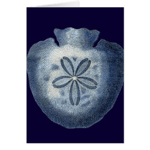 Indigo Shells III