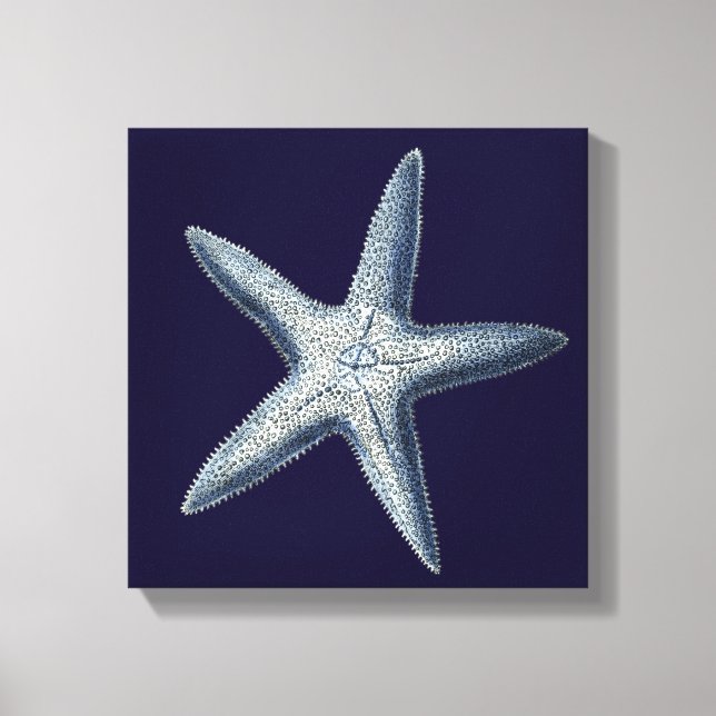 Indigo Shells IV Canvas Print (Front)