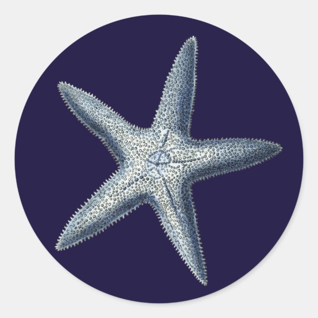 Indigo Shells IV Classic Round Sticker (Front)