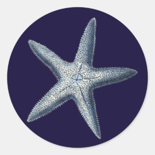 Indigo Shells IV Classic Round Sticker