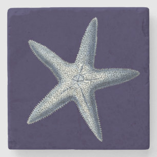 Indigo Shells IV Stone Coaster