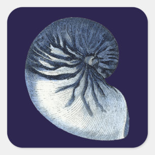 Indigo Shells VII Square Sticker