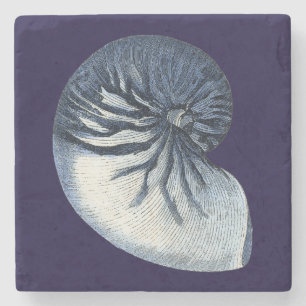 Indigo Shells VII Stone Coaster