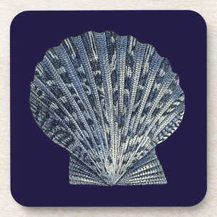 Indigo Shells VIII Coaster