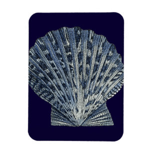 Indigo Shells VIII Magnet
