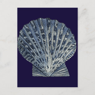 Indigo Shells VIII Postcard