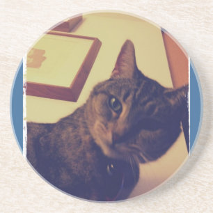 Indigo's Funny Face Coaster