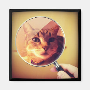 Indigo's Magnifying Glass Magnet