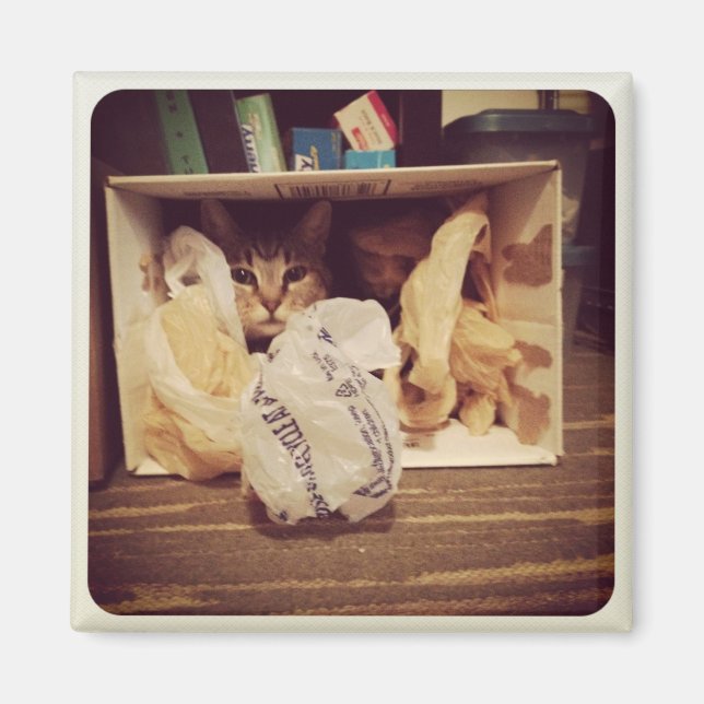 Indigo's Secret Hideout Magnet (Front)