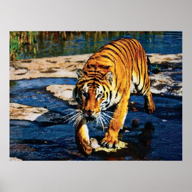 Individual Effects Animals 2 cmyk Poster (Front)