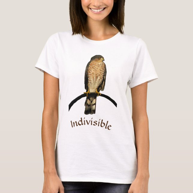 Indivisible Hawk Shirt (Front)