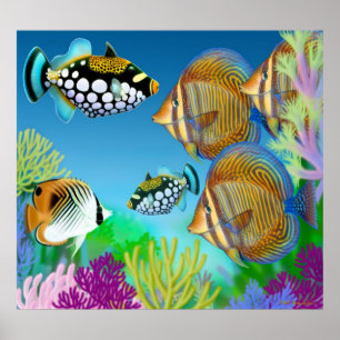 Indo-Pacific Coral Reef Fish Poster
