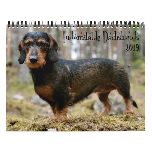 Indomitable Dachshunds Custom Year Calendar (Cover)