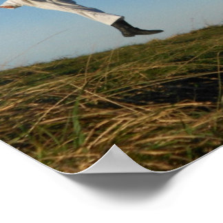 Indomitable Spirit Taekwondo Poster