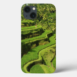 Indonesia, Bali Rice Paddies iPhone 13 Case