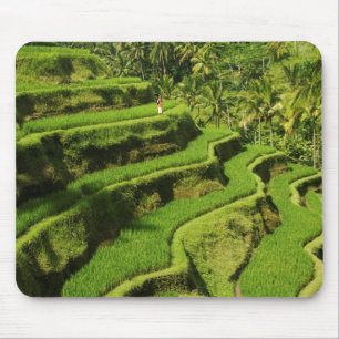Indonesia, Bali Rice Paddies Mouse Pad