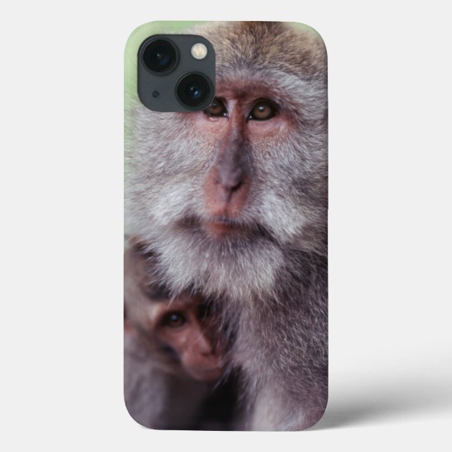 Indonesia, Bali, Ubud, Long-tailed Macaque Case-Mate iPhone Case (Back)
