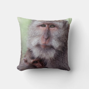 Indonesia, Bali, Ubud, Long-tailed Macaque Cushion