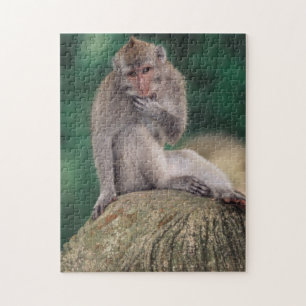 Indonesia, Bali, Ubud, Long-tailed Macaque Jigsaw Puzzle