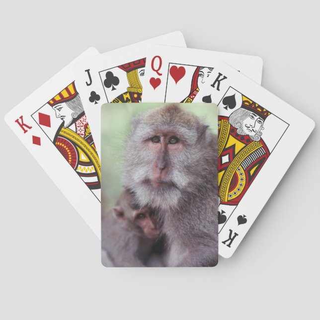 Indonesia, Bali, Ubud, Long-tailed Macaque Playing Cards (Back)