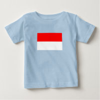 Indonesia Flag