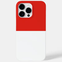 Indonesia flag