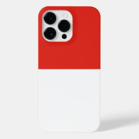 Indonesia flag