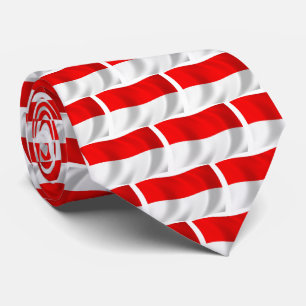 Indonesia Flag Tie