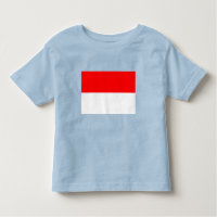 Indonesia Flag