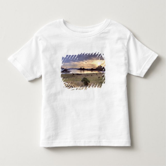 Indonesia, Komodo National Park. Sunset on one Toddler T-Shirt (Front)