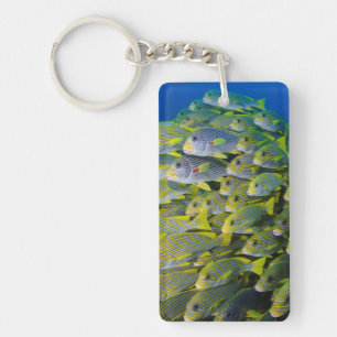 Indonesia. Schooling Fish Key Ring
