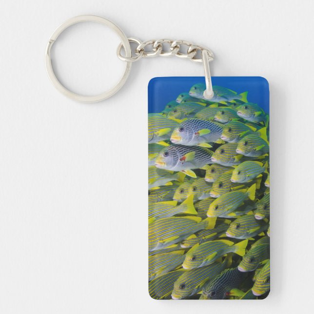 Indonesia. Schooling Fish Key Ring (Front)