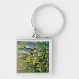 Indonesia. Schooling Fish Key Ring