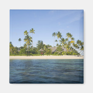 Indonesia, South Sulawesi Province, Wakatobi Magnet
