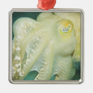 Indonesia, South Sulawesi Province, Wakatobi Metal Tree Decoration