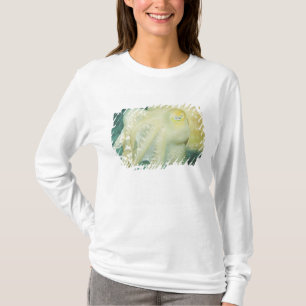 Indonesia, South Sulawesi Province, Wakatobi T-Shirt