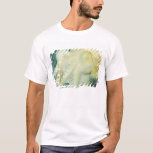 Indonesia, South Sulawesi Province, Wakatobi T-Shirt