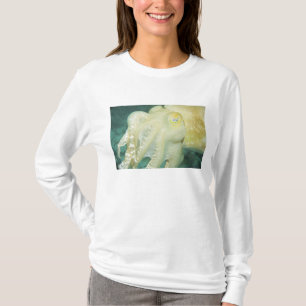 Indonesia, South Sulawesi Province, Wakatobi T-Shirt