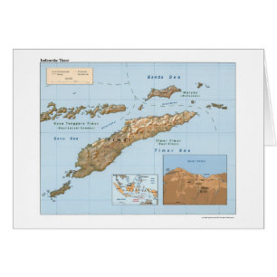 Indonesia Timor Map 1999