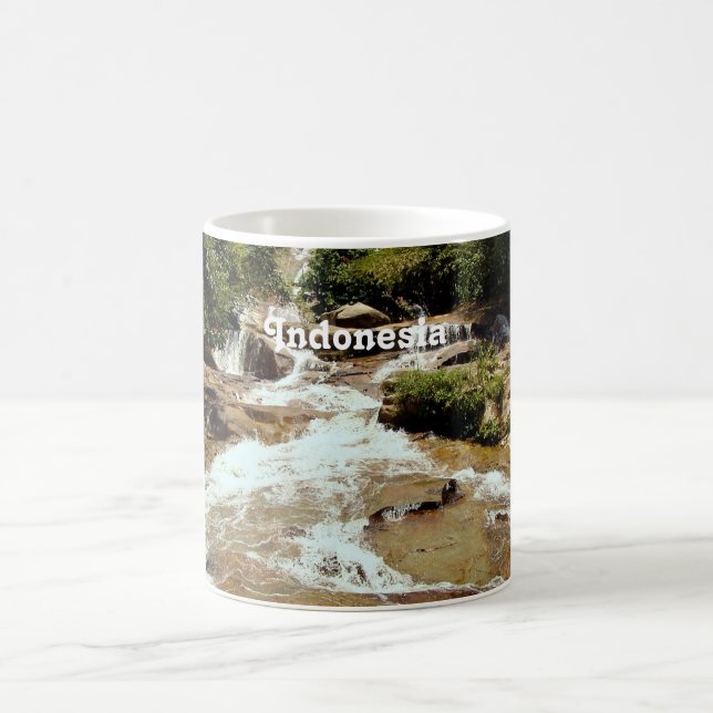 Indonesia Waterfall Coffee Mug (Center)