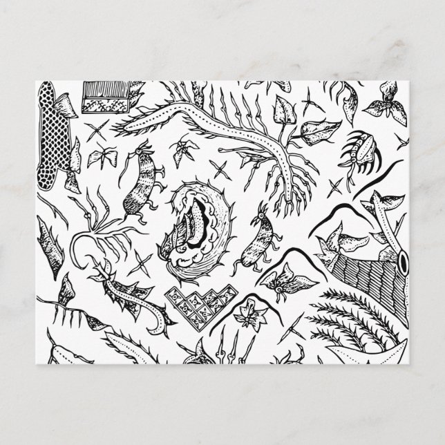 Indonesian Insects & Plants Textile Pattern Postcard (Front)