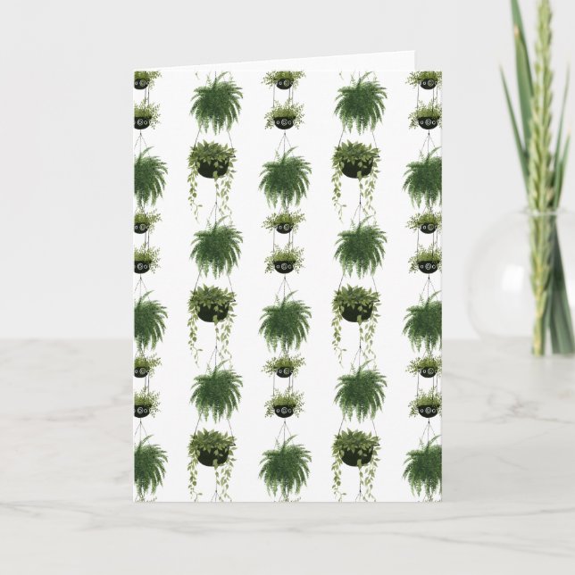 Indoor Oasis | Hanging Baskets Card (Front)
