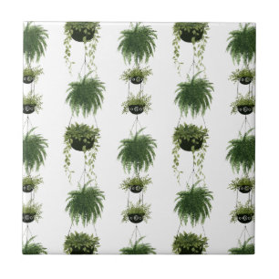 Indoor Oasis   Hanging Baskets Ceramic Tile